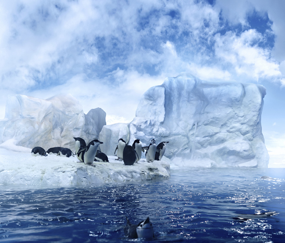 6 cose che non sapevi dell' Antartide. Ice Tech.