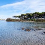 Porto Cesáreo. Salento.