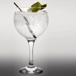 Gin-Tonic con Ice Tech