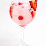 Gin-Tonic con Ice Tech