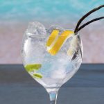 Gin-Tonic con Ice Tech