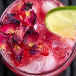 Gin-Tonic con Ice Tech