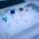 Cancer research laboratory, Cells kept in ice after storage in sub zero temperatures in a liquid nitrogen cryopreservation chamber