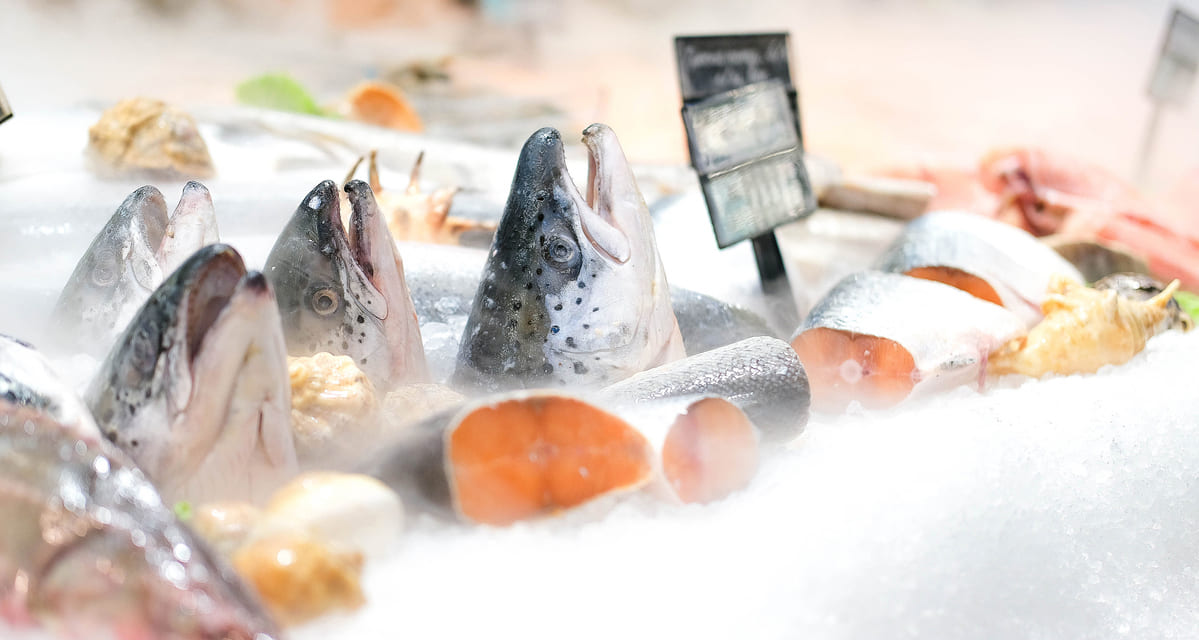 Hielo en la industria alimentaria: seguridad, higiene y normativas HACCP