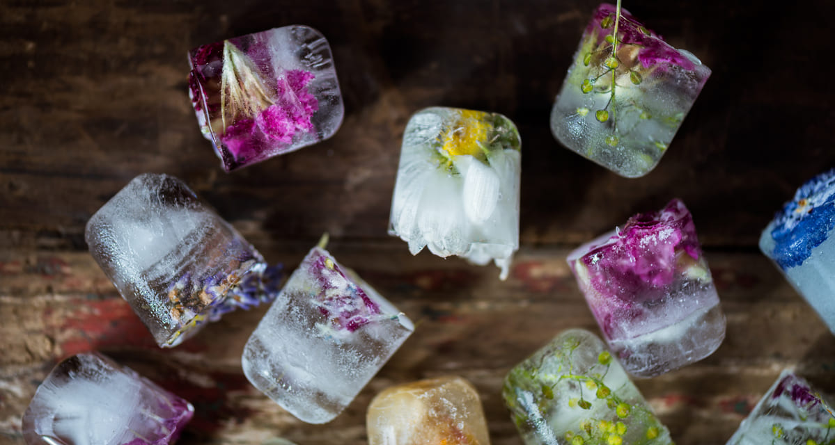 ¿Qué necesitas para hacer hielo infusionado?