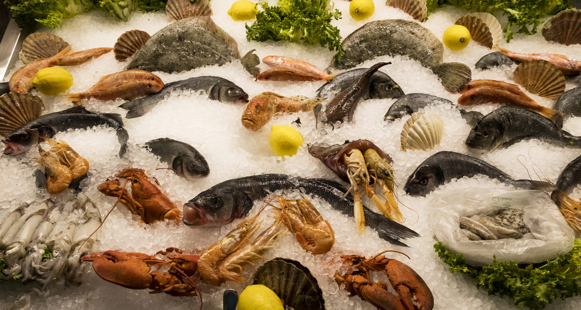 Qué hielo usar para conservar pescado y marisco 